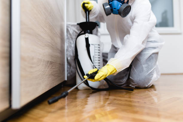 Best Bed Bug Extermination  in Alondra Park, CA